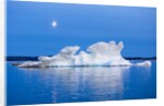 Melting Sea Ice, Repulse Bay, Nunavut Territory, Canada by Anonymous