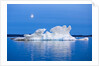 Melting Sea Ice, Repulse Bay, Nunavut Territory, Canada by Anonymous