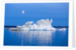 Melting Sea Ice, Repulse Bay, Nunavut Territory, Canada by Anonymous