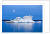Melting Sea Ice, Repulse Bay, Nunavut Territory, Canada by Anonymous