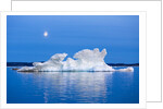 Melting Sea Ice, Repulse Bay, Nunavut Territory, Canada by Anonymous