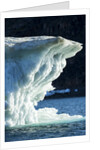 Melting Iceberg, Repulse Bay, Nunavut Territory, Canada by Anonymous