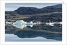 Melting Icebergs, Repulse Bay, Nunavut Territory, Canada by Anonymous