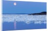 Full Moon and Melting Sea Ice, Repulse Bay, Nunavut Territory, Canada by Anonymous