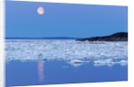 Full Moon and Melting Sea Ice, Repulse Bay, Nunavut Territory, Canada by Anonymous