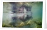 Underwater Walrus and Calf in Hudson Bay, Nunavut, Canada by Anonymous