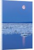 Full Moon and Melting Sea Ice, Repulse Bay, Nunavut Territory, Canada by Anonymous