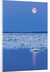 Full Moon and Melting Sea Ice, Repulse Bay, Nunavut Territory, Canada by Anonymous
