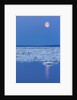 Full Moon and Melting Sea Ice, Repulse Bay, Nunavut Territory, Canada by Anonymous