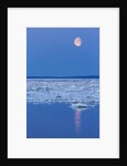 Full Moon and Melting Sea Ice, Repulse Bay, Nunavut Territory, Canada by Anonymous