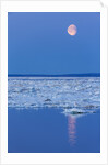 Full Moon and Melting Sea Ice, Repulse Bay, Nunavut Territory, Canada by Anonymous