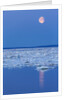 Full Moon and Melting Sea Ice, Repulse Bay, Nunavut Territory, Canada by Anonymous