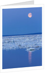 Full Moon and Melting Sea Ice, Repulse Bay, Nunavut Territory, Canada by Anonymous
