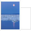 Full Moon and Melting Sea Ice, Repulse Bay, Nunavut Territory, Canada by Anonymous