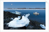 Full Moon and Iceberg, Repulse Bay, Nunavut Territory, Canada by Anonymous