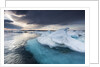 Melting Sea Ice, Hudson Bay, Nunavut Territory, Canada by Anonymous