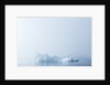 Melting Sea Ice, Hudson Bay, Nunavut Territory, Canada by Anonymous