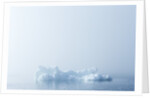 Melting Sea Ice, Hudson Bay, Nunavut Territory, Canada by Anonymous