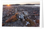 Stone Cairn in Arctic, Nunavut Territory, Canada by Anonymous