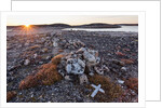 Stone Cairn in Arctic, Nunavut Territory, Canada by Anonymous