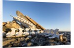 Whalers' Graves, Deadman Island, Nunavut, Canada by Anonymous