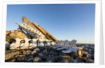 Whalers' Graves, Deadman Island, Nunavut, Canada by Anonymous