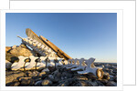 Whalers' Graves, Deadman Island, Nunavut, Canada by Anonymous