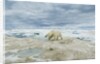 Polar Bear on Hudson Bay Sea Ice, Nunavut Territory, Canada by Anonymous