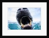 Polar Bear Biting Underwater Camera Dome, Nunavut, Canada by Anonymous