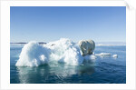 Polar Bear on Iceberg, Hudson Bay, Nunavut, Canada by Anonymous