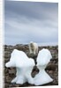 Polar Bear on Harbour Islands, Hudson Bay, Nunavut, Canada by Anonymous