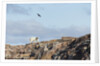 Polar Bear on Harbour Islands, Hudson Bay, Nunavut, Canada by Anonymous