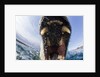 Swimming Polar Bear, Hudson Bay, Nunavut, Canada by Anonymous