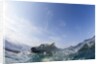 Swimming Polar Bear, Hudson Bay, Nunavut, Canada by Anonymous