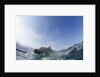 Swimming Polar Bear, Hudson Bay, Nunavut, Canada by Anonymous