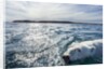 Polar Bear Swimming by Harbour Islands, Nunavut, Canada by Anonymous