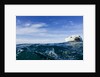 Polar Bear Swimming by Harbour Islands, Nunavut, Canada by Anonymous
