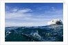 Polar Bear Swimming by Harbour Islands, Nunavut, Canada by Anonymous