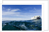 Polar Bear Swimming by Harbour Islands, Nunavut, Canada by Anonymous
