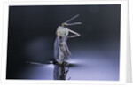 Culex pipiens (common house mosquito) - emerging (d8) by Anonymous