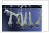 Culex pipiens (common house mosquito) - larvae by Anonymous