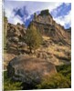 Crooked River Petroglyph by Anonymous