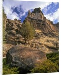 Crooked River Petroglyph by Anonymous