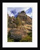 Crooked River Petroglyph by Anonymous