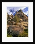 Crooked River Petroglyph by Anonymous