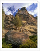 Crooked River Petroglyph by Anonymous
