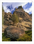 Crooked River Petroglyph by Anonymous