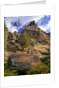 Crooked River Petroglyph by Anonymous