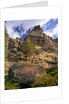 Crooked River Petroglyph by Anonymous