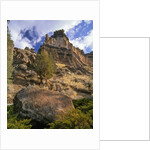 Crooked River Petroglyph by Anonymous